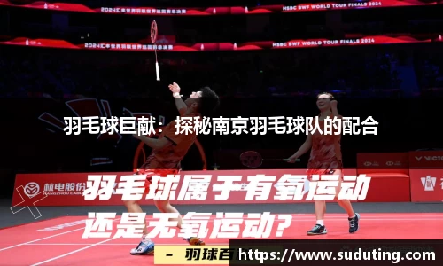 羽毛球巨献：探秘南京羽毛球队的配合
